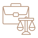Debt Recovery and Insolvency