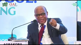 Dr Olisa Agbakoba SAN at the Nigeria Economic Summit Group