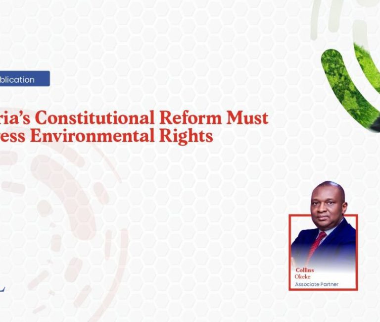 Nigerias Constitutional Reform Must Address Environmental Rights